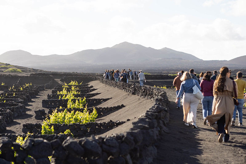 La Cátedra de Agroturismo y Enoturismo de Canarias alerta sobre la falta de estrategias integradas por la ausencia de datos sobre la actividad enoturística en las Islas