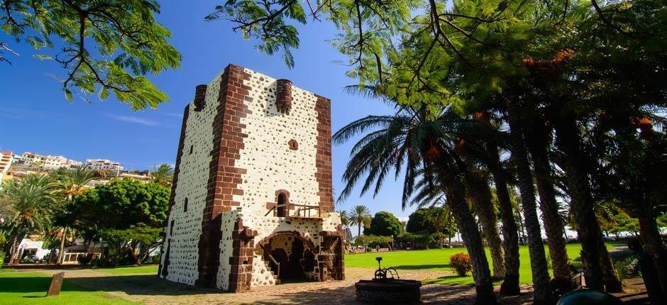 La Gomera acogerá las III Jornadas Técnicas Internacionales de Vitivinicultura Sostenible