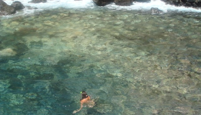 A new CO2 vent for the study of ocean acidification in the Atlantic