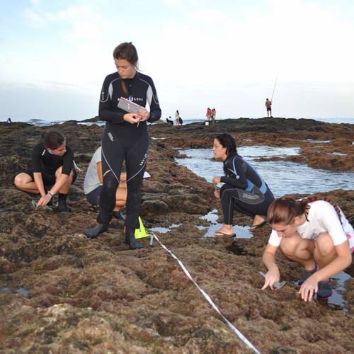 Marine Biology