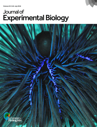 Cover of Journal of Experimental Biology