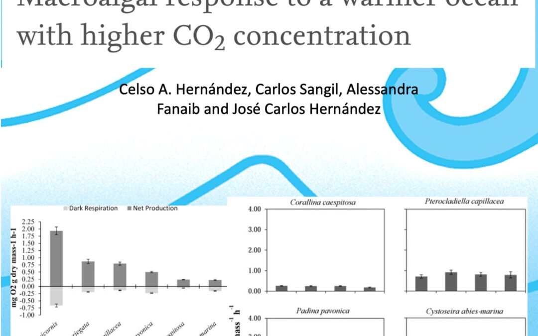 Macroalgal response to a warmer ocean with higher CO2 concentration. Hernández et al., 2018