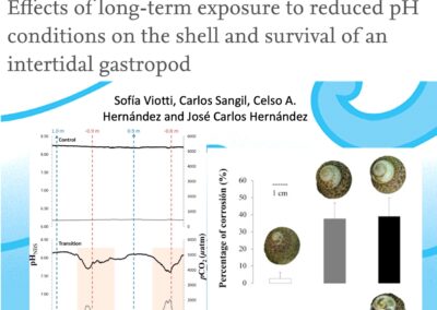 Effects of long-term exposure to reduced pH conditions on the shell and survival of an intertidal gastropod. Viotti et al., 2019
