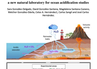 Chemical characterization of the Punta de Fuencaliente CO 2-enriched system, González-Delgado et al., 2021