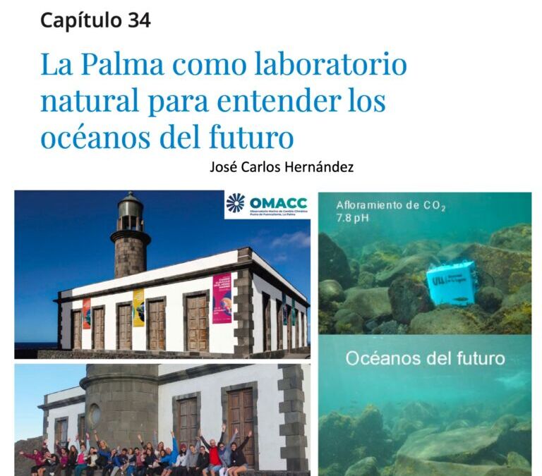La Palma como laboratorio natural para entender los océanos del futuro