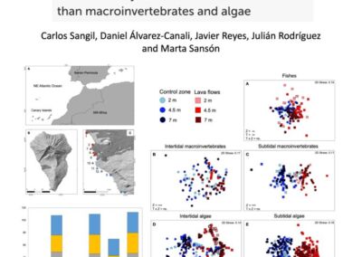 Primary ecological succession of marine communities on the Tajogaite lava flows