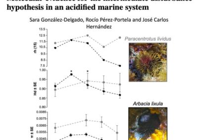 The intermediate disturbance hypothesis in an acidified system