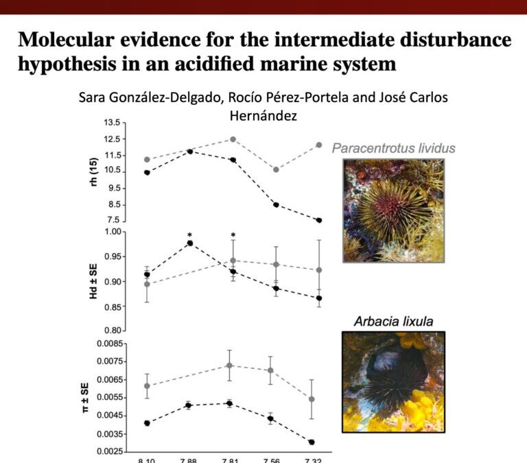 The intermediate disturbance hypothesis in an acidified system