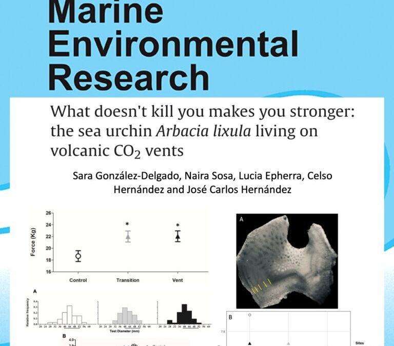 What doesn’t kill you makes you stronger