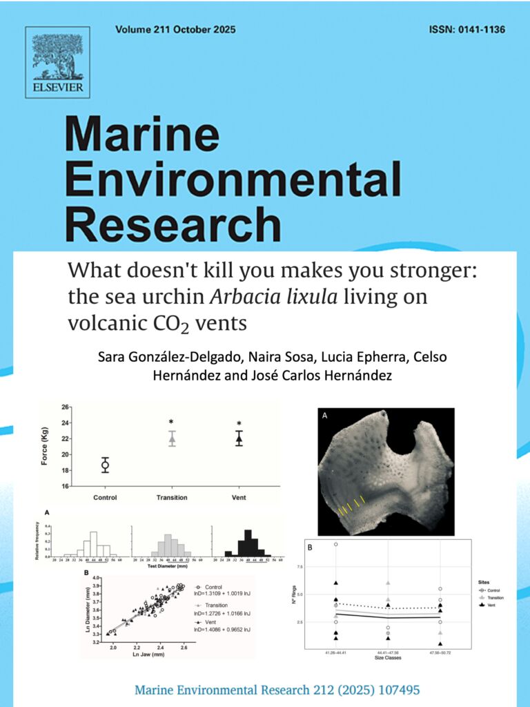 2025-González-Delgado et al.,MERE