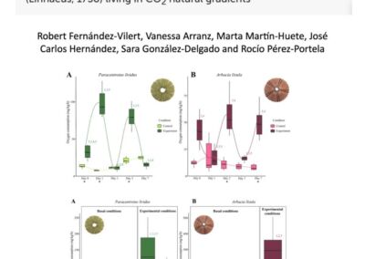 Effect of ocean acidification on the oxygen consumption of the sea urchins