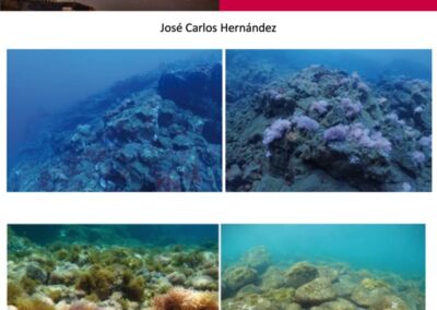 Laboratorio Natural para los Océanos del Futuro. Hernández, 2025