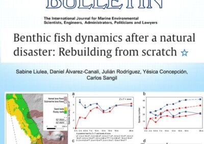 Benthic fish dynamics after a natural disaster: Rebuilding from scratch. Liulea et al., 2026